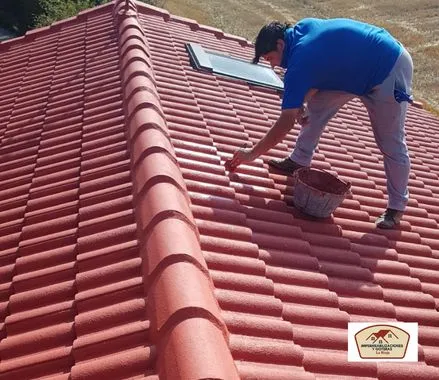 Impermeabilizar Tejas con Clorocaucho en La Rioja