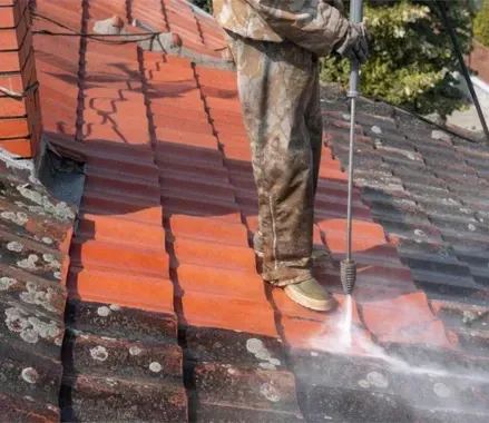 limpieza de tejados en Logroño, La Rioja